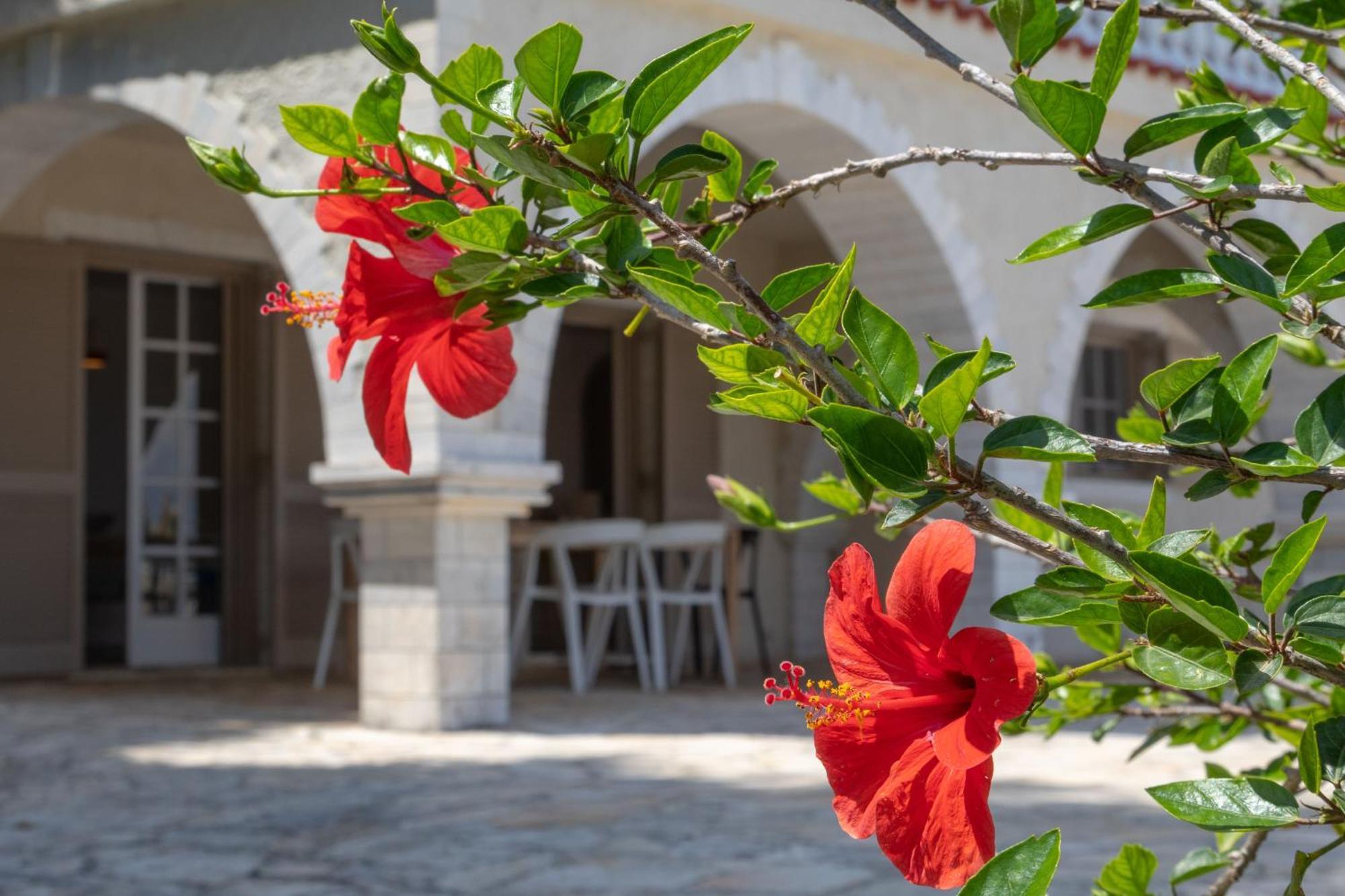 Ionian Garden Villas - Villa Olea Benitses  Zewnętrze zdjęcie